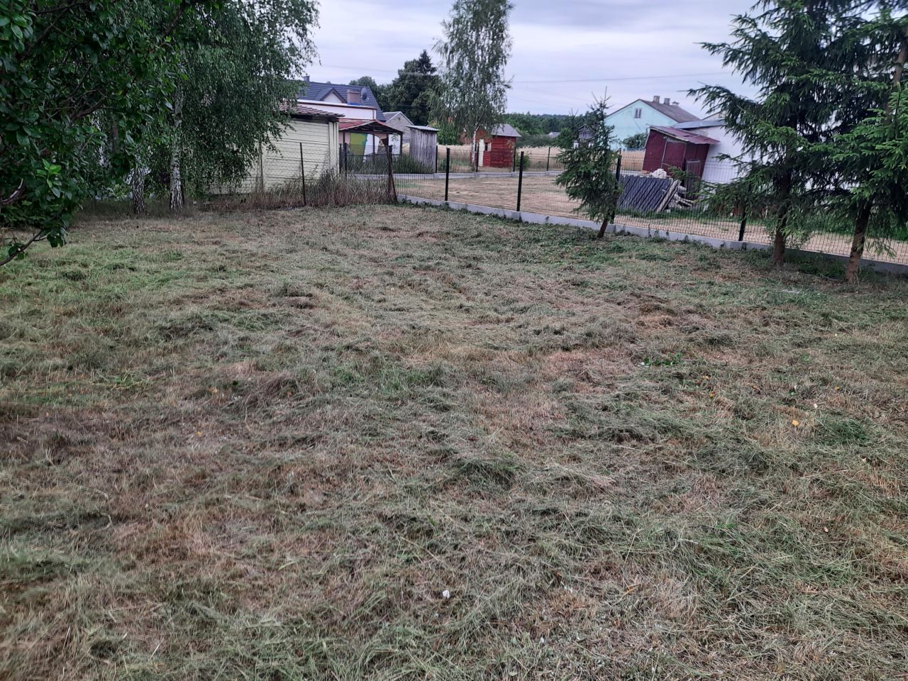 Działka siedliskowa Lewiczyn. Zdjęcie 6