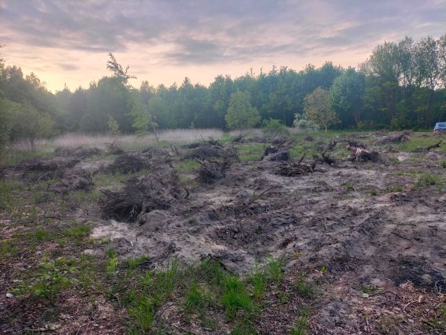 Działka rolna Świniary Stare. Zdjęcie 1