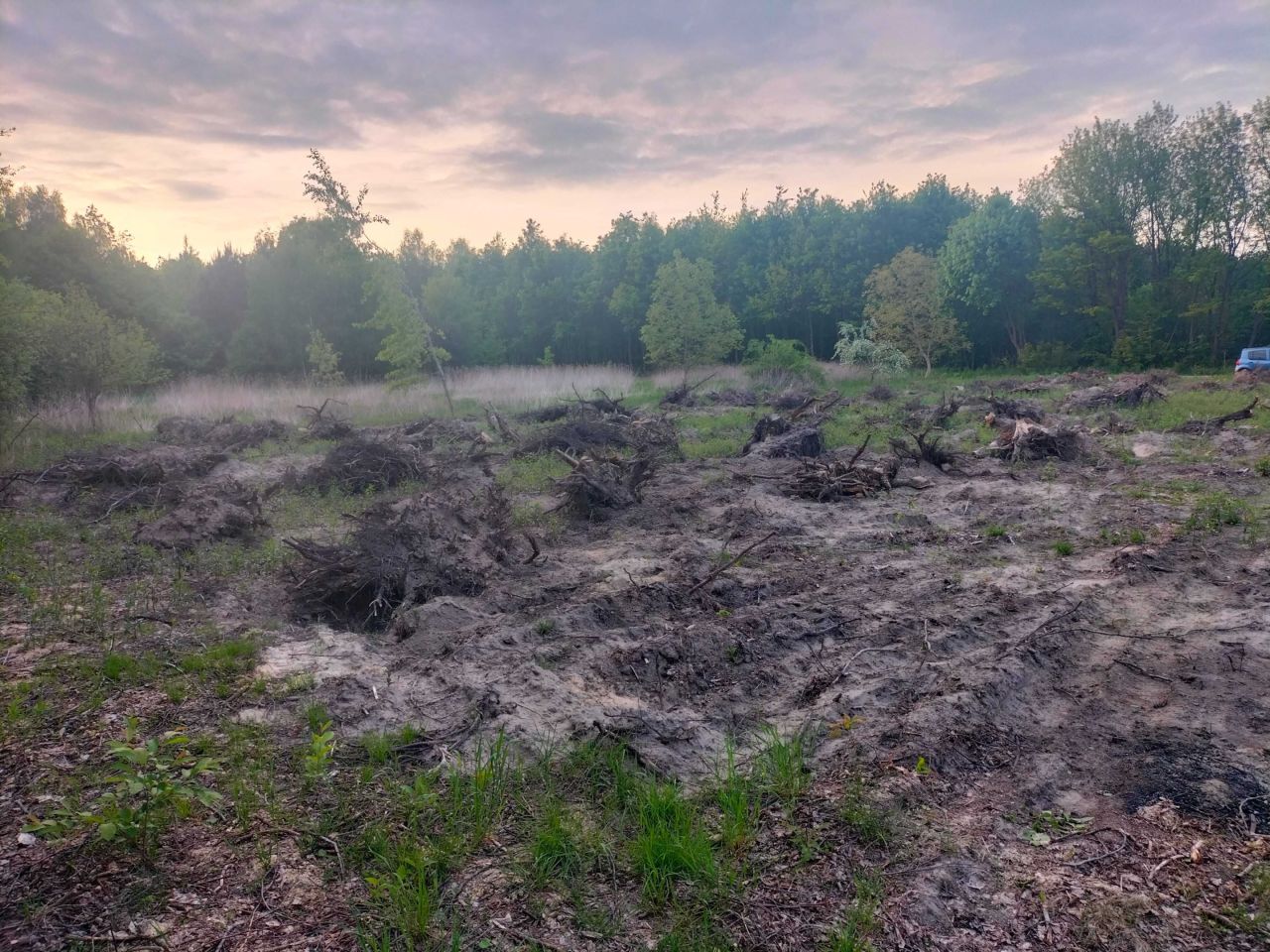 Działka rolna Świniary Stare