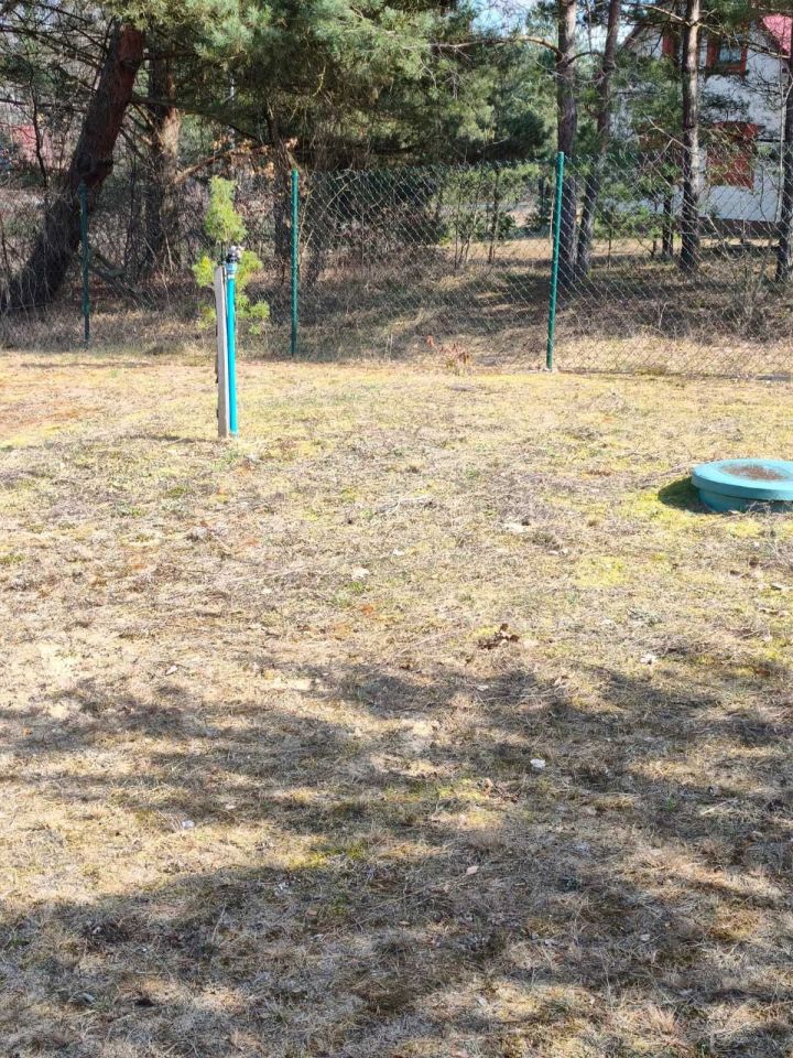 Działka budowlana Osiek. Zdjęcie 7