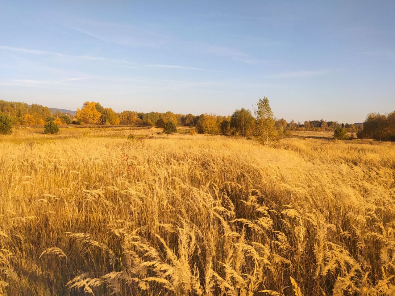 Działka budowlana Radlin. Zdjęcie 4