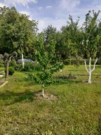 Działka rod Warszawa Praga-Północ, ul. Janowiecka. Zdjęcie 6