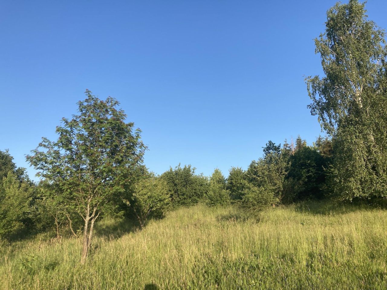 Działka rolno-budowlana Biała. Zdjęcie 2