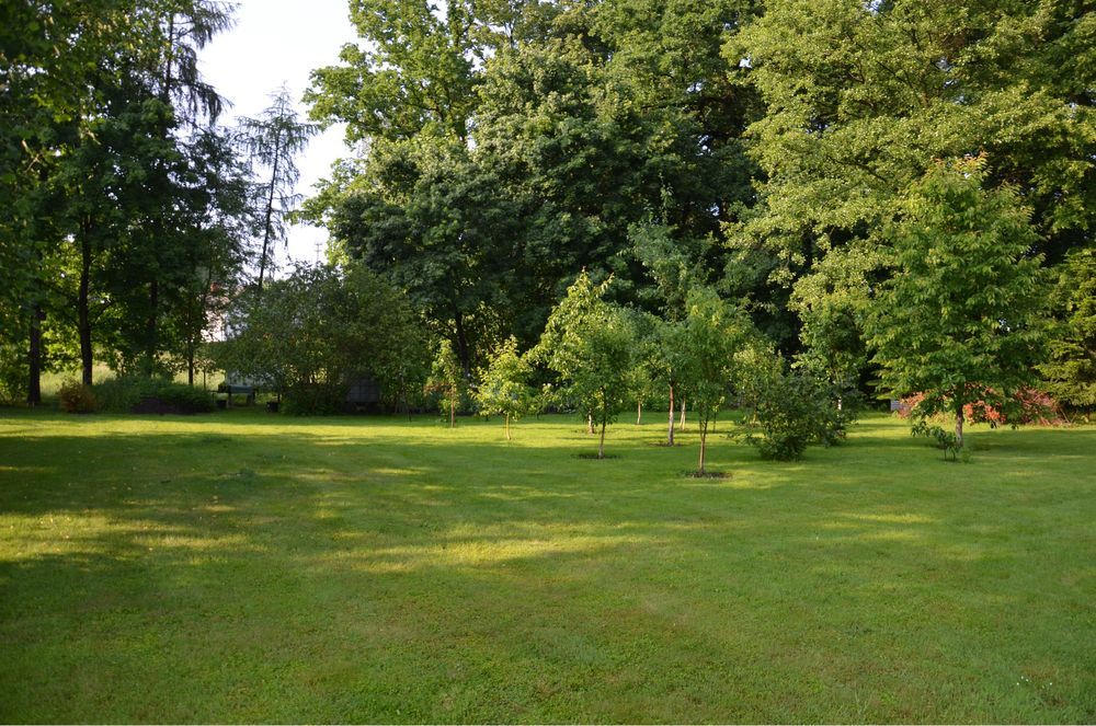 Działka budowlana Studzionka