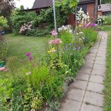 Działka rod Białystok Leśna Dolina, ul. Jaskrów. Zdjęcie 2