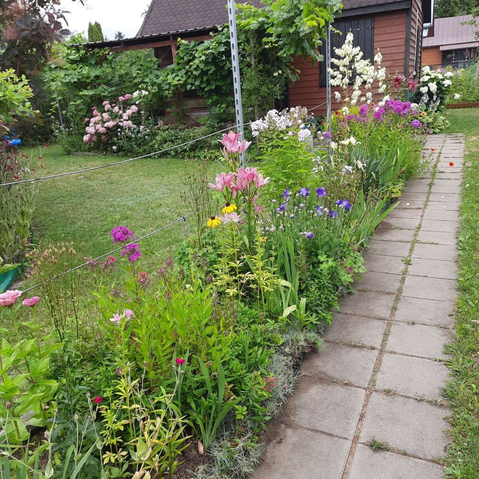 Działka rod Białystok Leśna Dolina, ul. Jaskrów. Zdjęcie 3