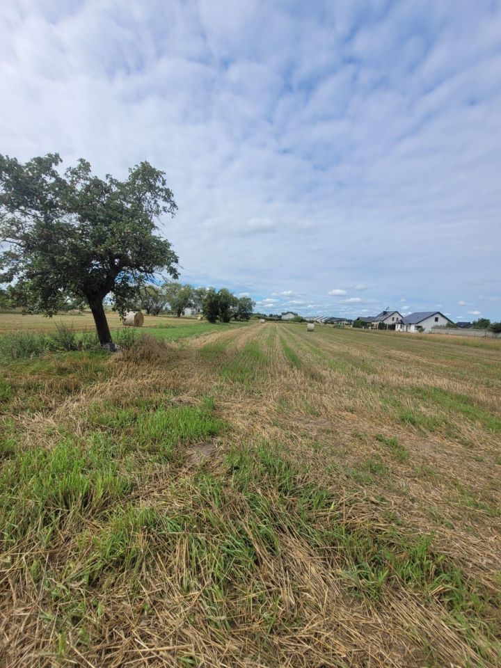 Działka budowlana Otusz. Zdjęcie 4