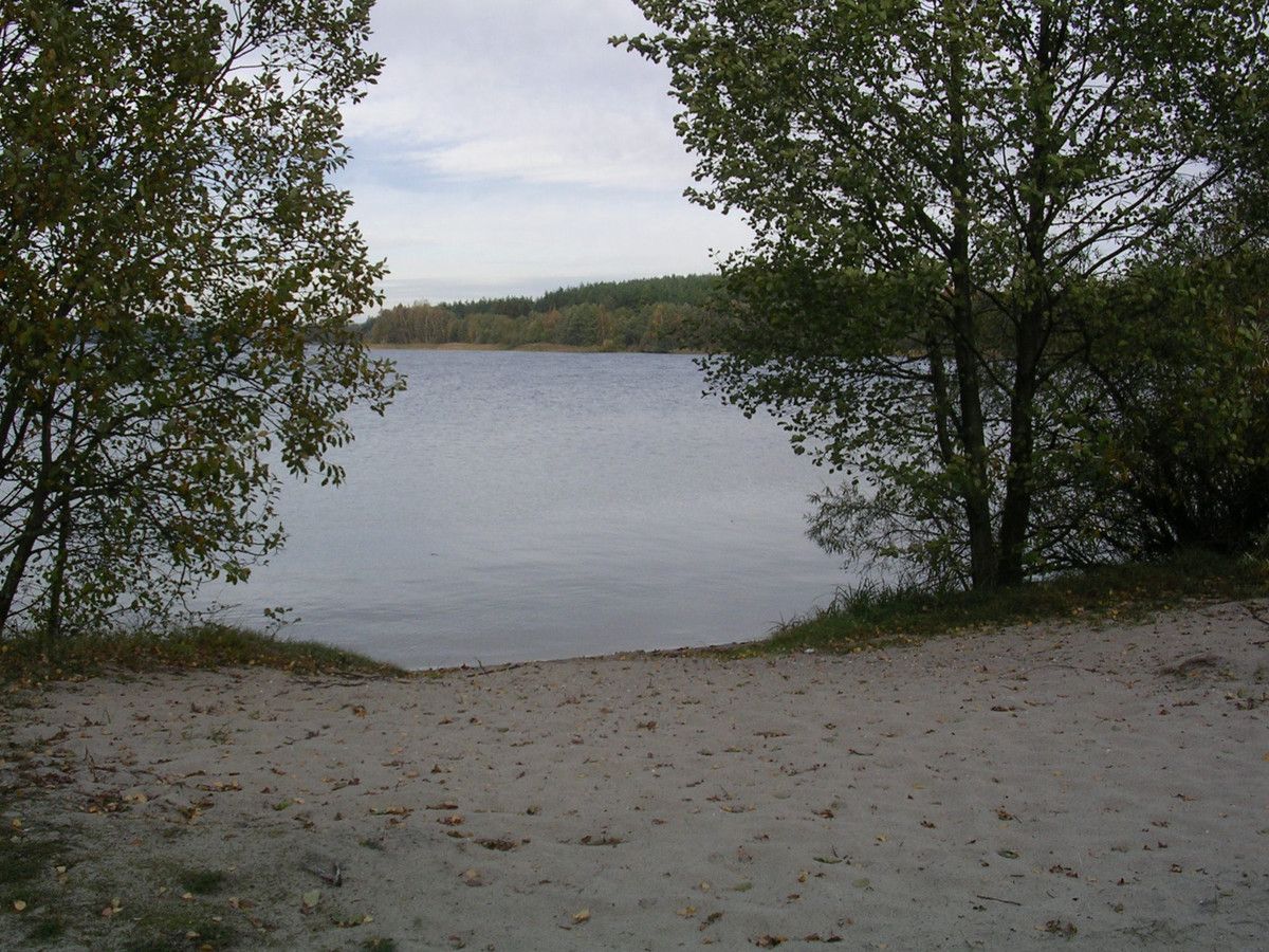 Działka budowlana Borek Kamienny. Zdjęcie 4