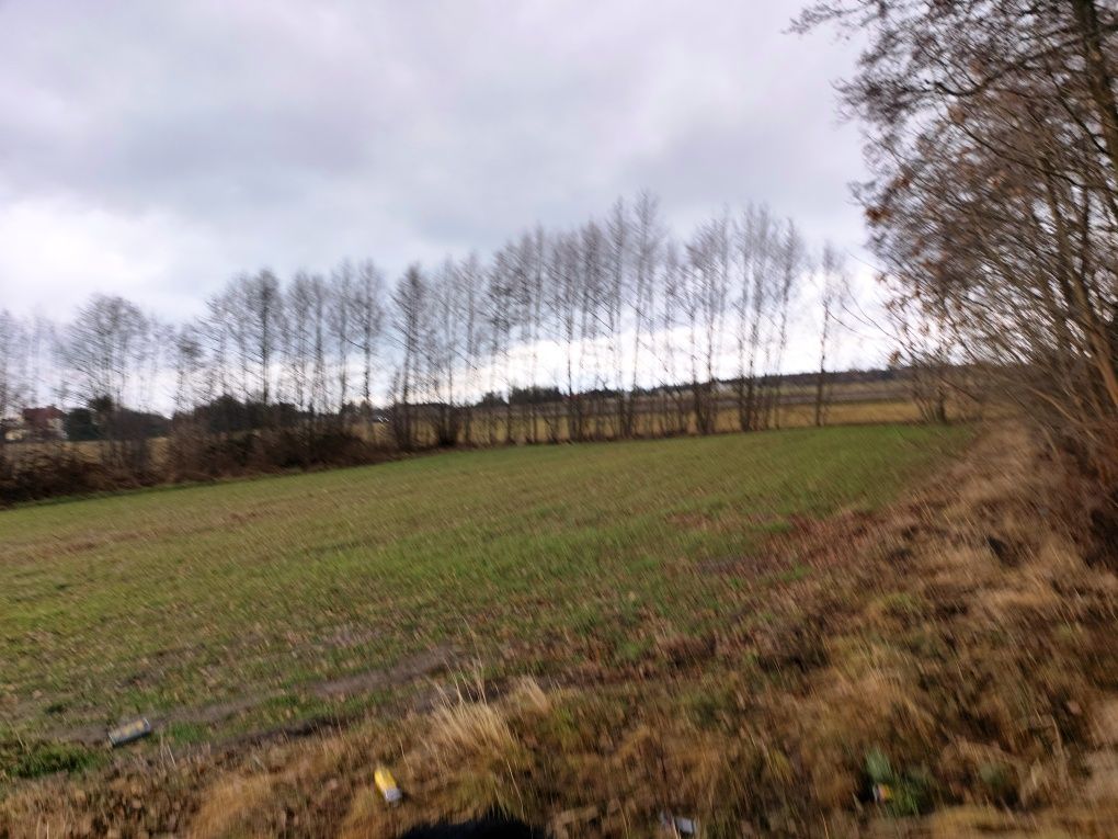 Działka rolna Czarna. Zdjęcie 6