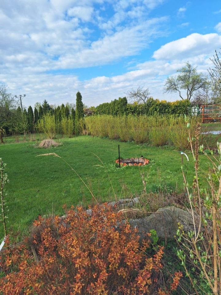 Działka rod Oleśnica, ul. Wileńska. Zdjęcie 6