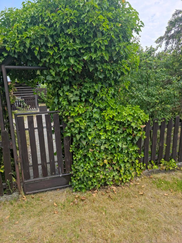 Działka rod Września. Zdjęcie 6
