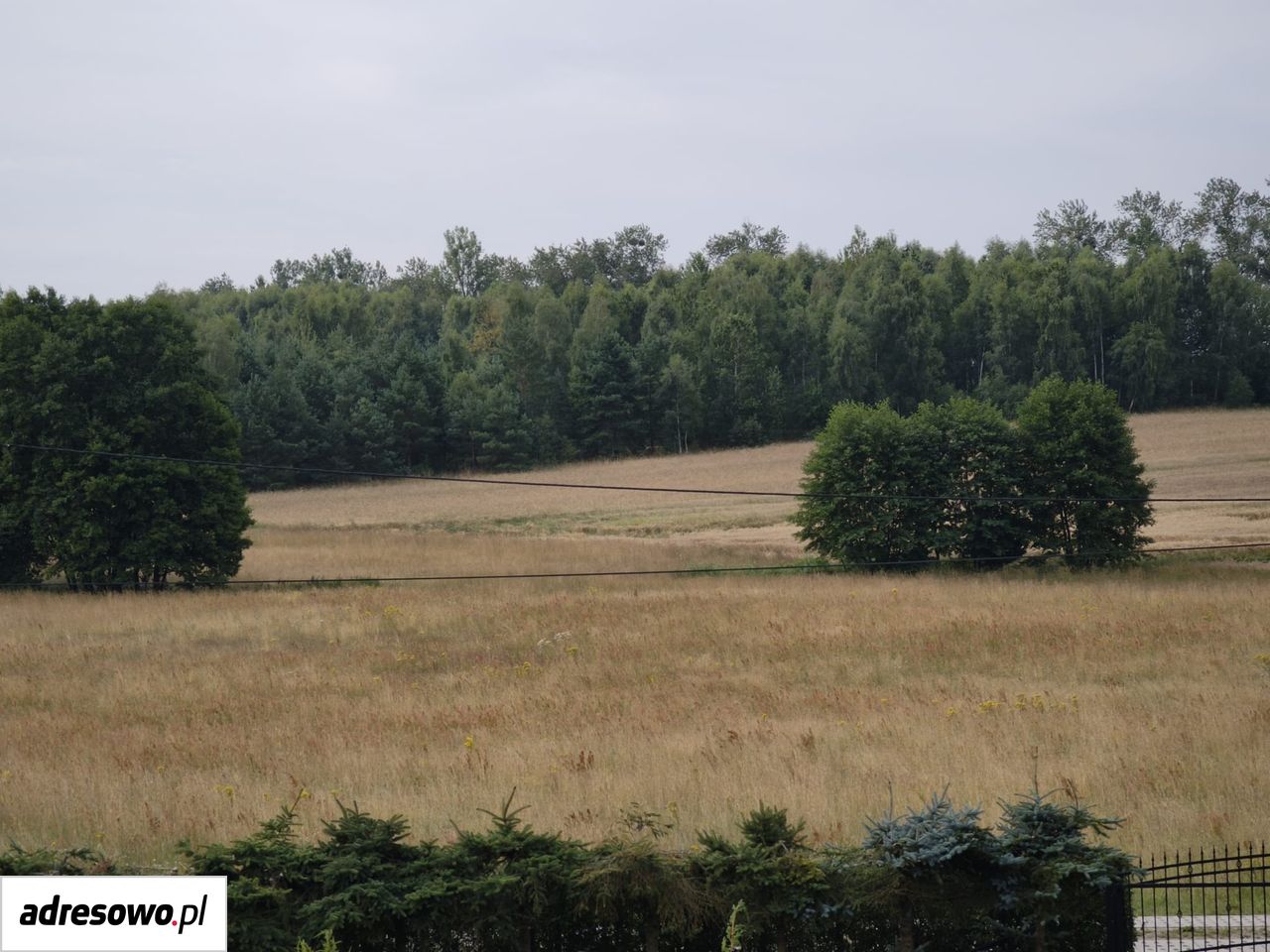 Działka rolno-budowlana Barkowo. Zdjęcie 6