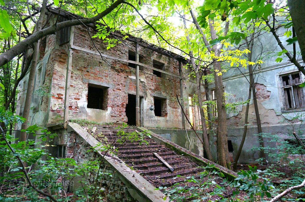 dworek Dąbrowica. Zdjęcie 21