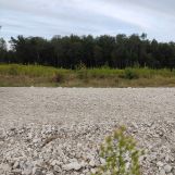 Działka rolna Zwierzyniec. Zdjęcie 2