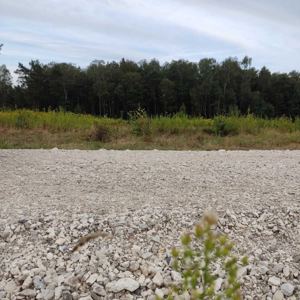 Działka rolna Zwierzyniec. Zdjęcie 3