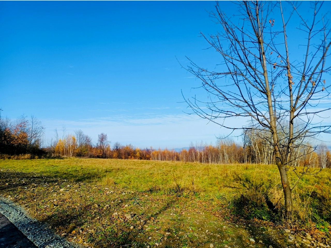 Działka inwestycyjna Polanica-Zdrój Nowy Wielisław, ul. Graniczna. Zdjęcie 6