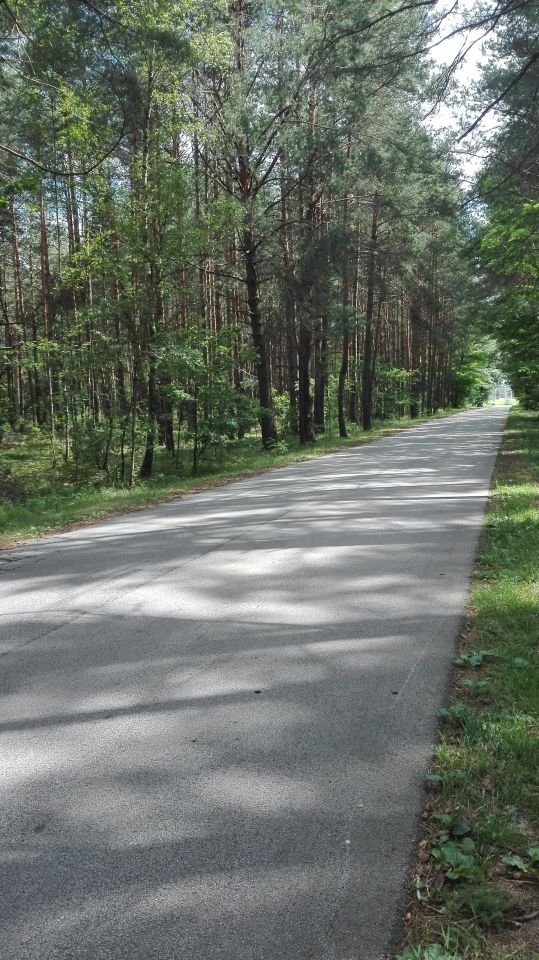 Działka rolna Nowy Pilczyn. Zdjęcie 4