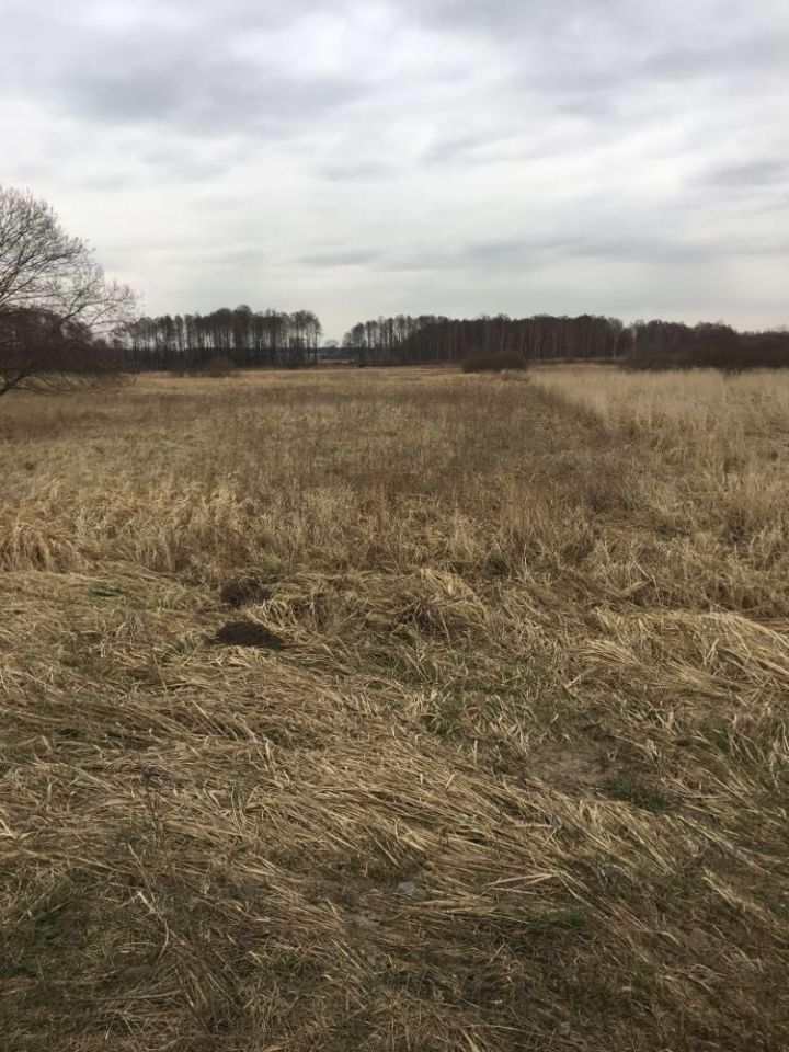 Działka budowlana Bąków. Zdjęcie 5