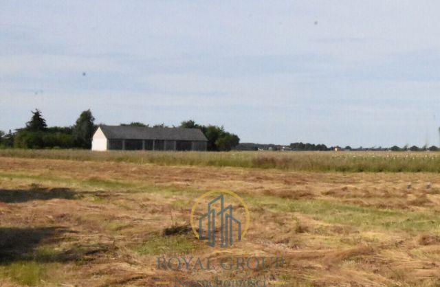 Działka siedliskowa Siedliska. Zdjęcie 4