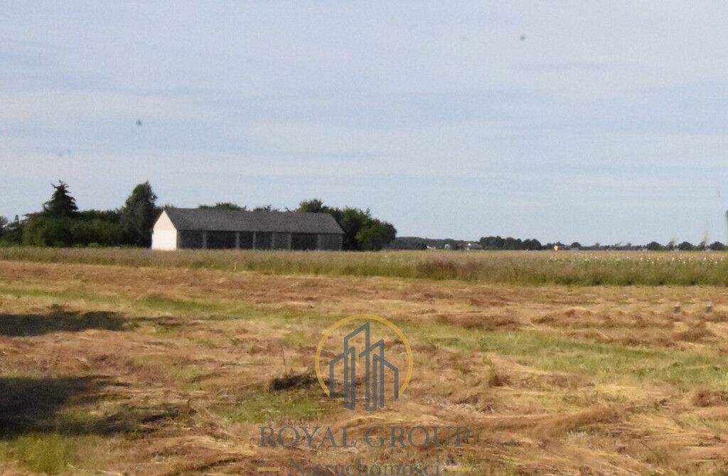 Działka siedliskowa Siedliska. Zdjęcie 4