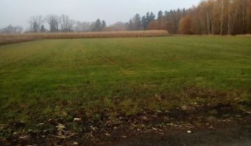 Działka inwestycyjna Blękwit