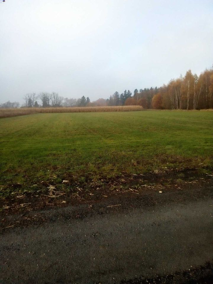 Działka inwestycyjna Blękwit. Zdjęcie 2