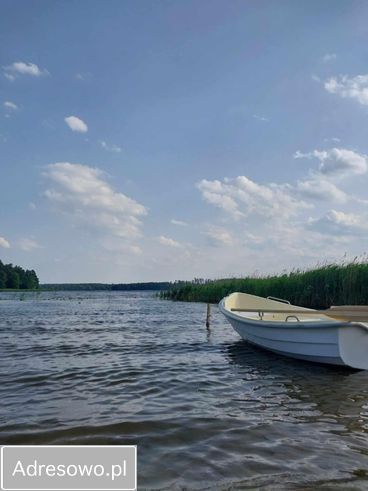 Działka rolno-budowlana Taczki. Zdjęcie 7
