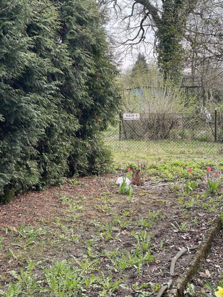 Działka rod Kędzierzyn-Koźle. Zdjęcie 5