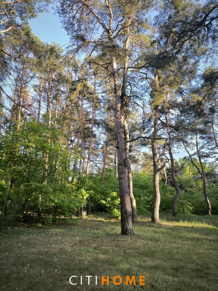 Działka budowlana Józefów, ul. Skrajna. Zdjęcie 2
