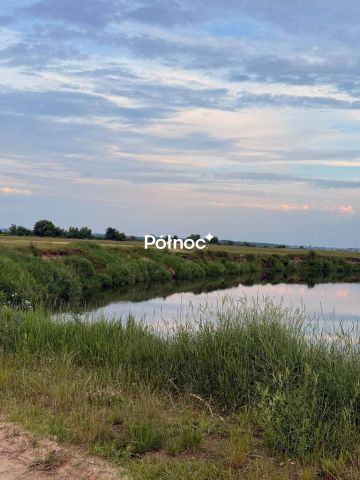 Działka rolna Krzewo. Zdjęcie 5