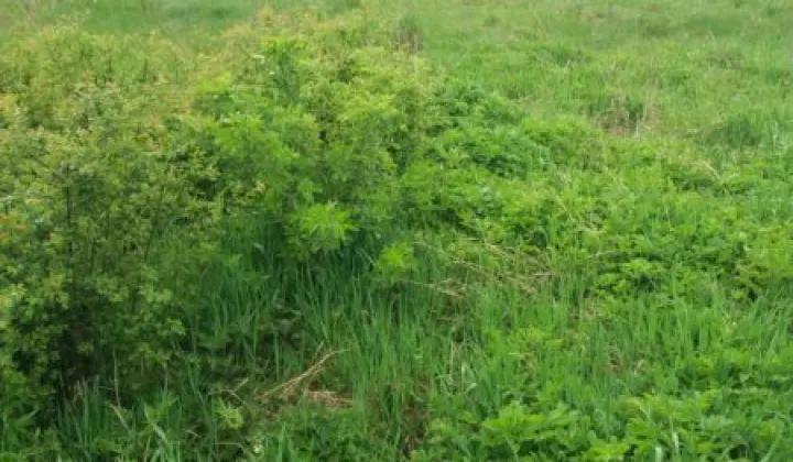 dom wolnostojący Wola Blizocka