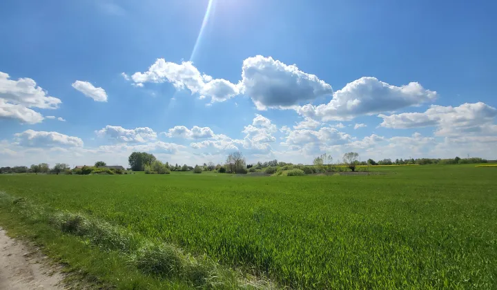 Działka rolna Nowy Stręczyn