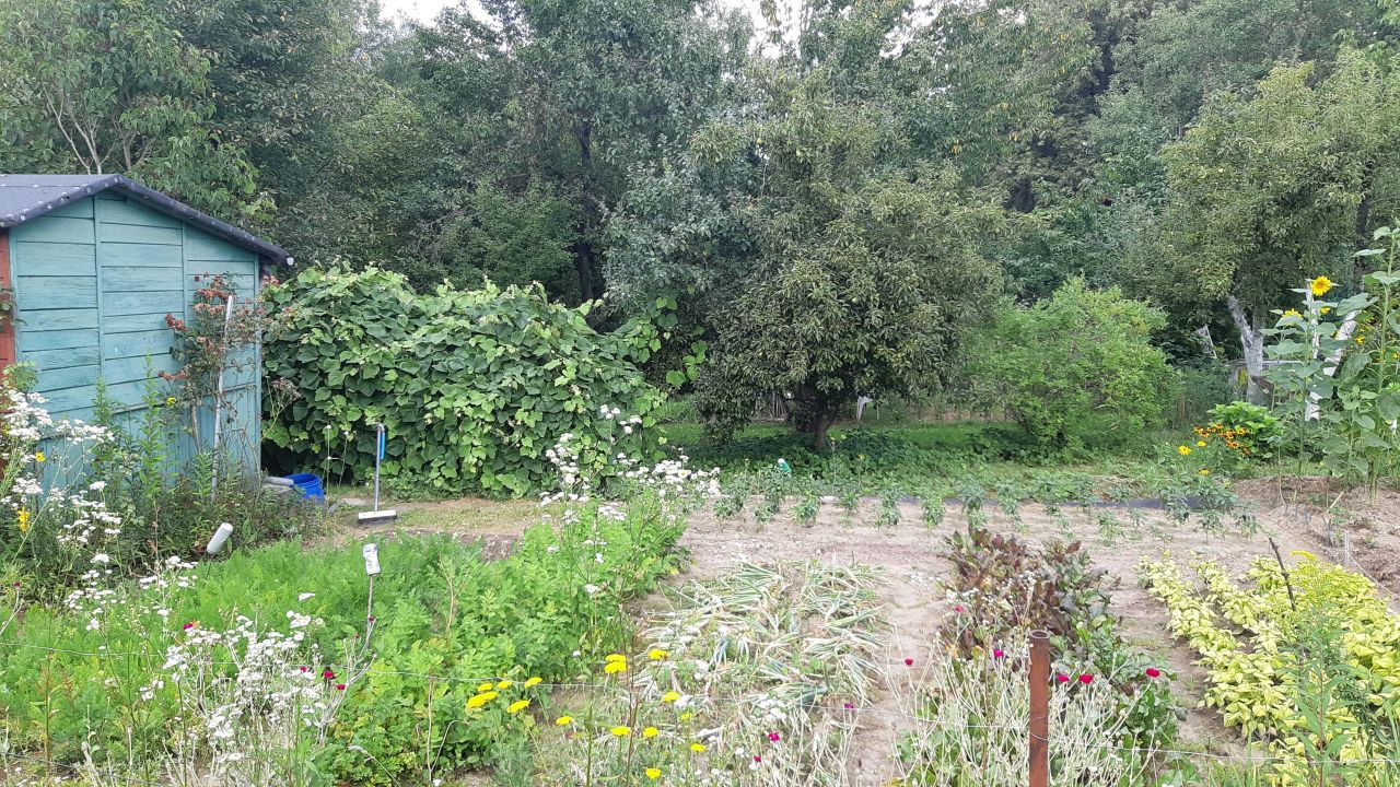 Działka rod Lublin Zimne Doły, ul. Wojciechowska. Zdjęcie 3