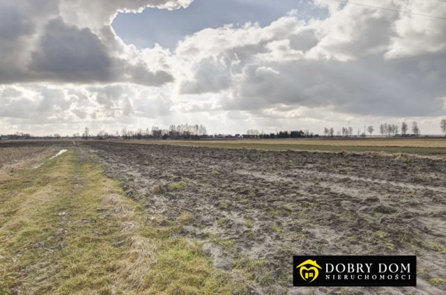 Działka budowlana Hajnówka. Zdjęcie 4