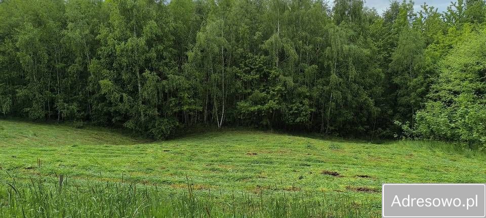 Działka rolna Błażowa. Zdjęcie 2