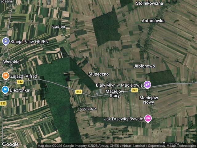 Działka siedliskowa Słupeczno. Zdjęcie 1