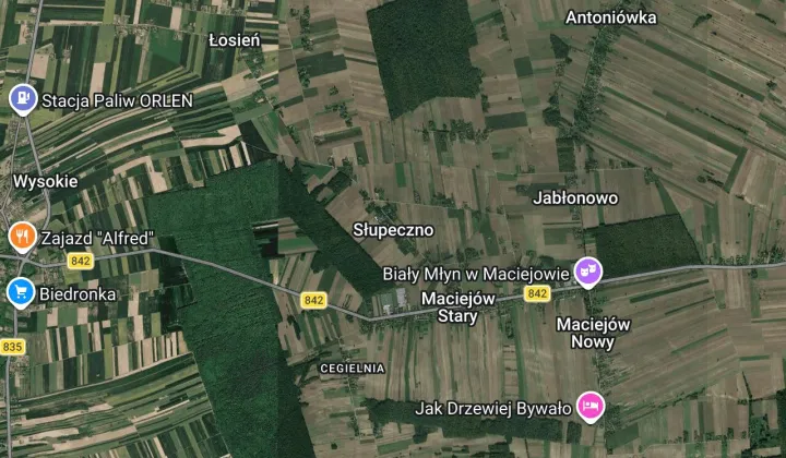 Działka siedliskowa Słupeczno