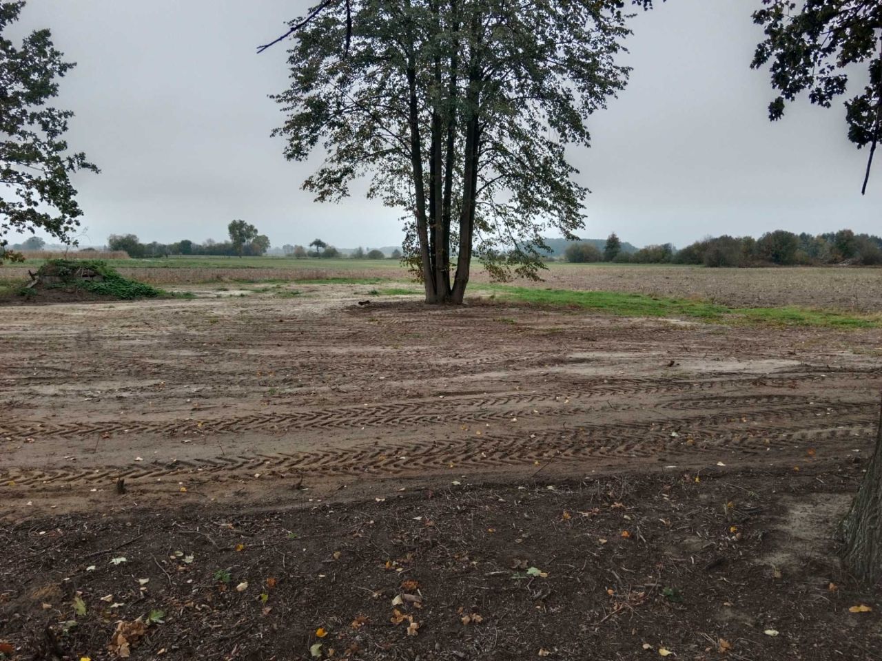 Działka rolno-budowlana Szla. Zdjęcie 2