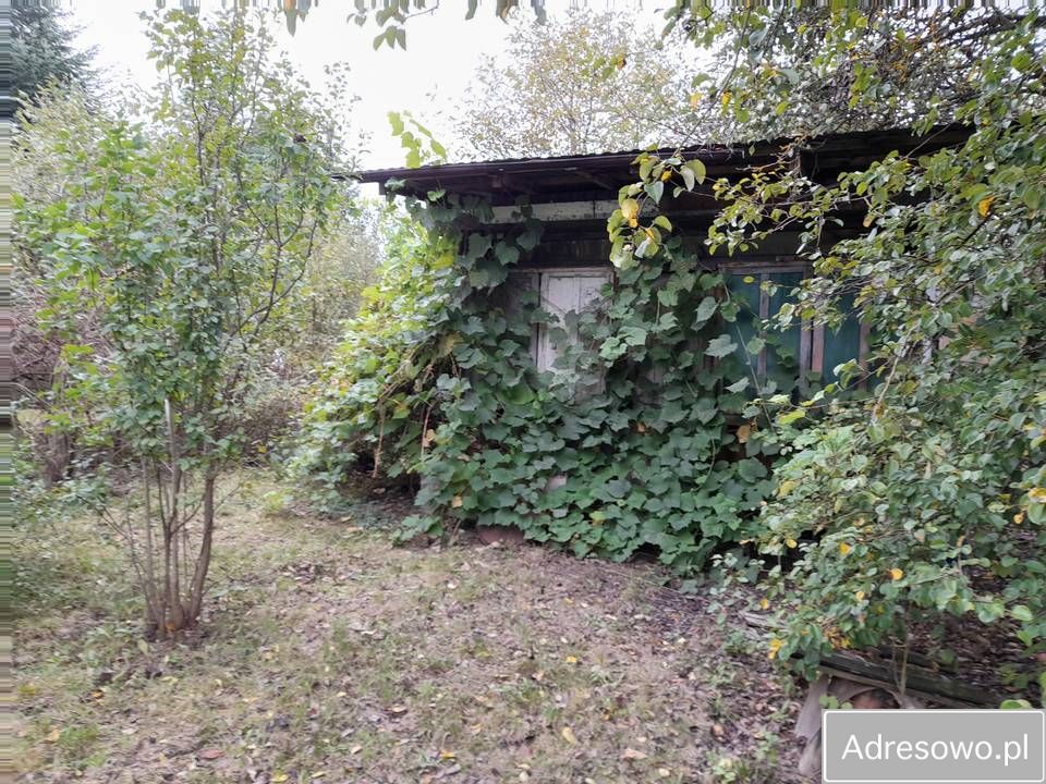 Działka rod Kielce, ul. Leśniówka. Zdjęcie 4