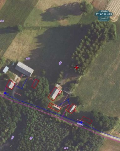 Działka siedliskowa Stefanów Ruszkowski. Zdjęcie 25