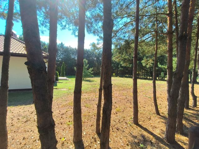 dom wolnostojący, 4 pokoje Brzóze Małe. Zdjęcie 3