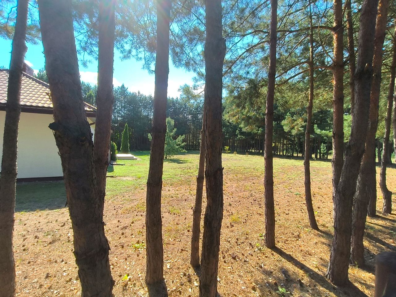 dom wolnostojący, 4 pokoje Brzóze Małe. Zdjęcie 3