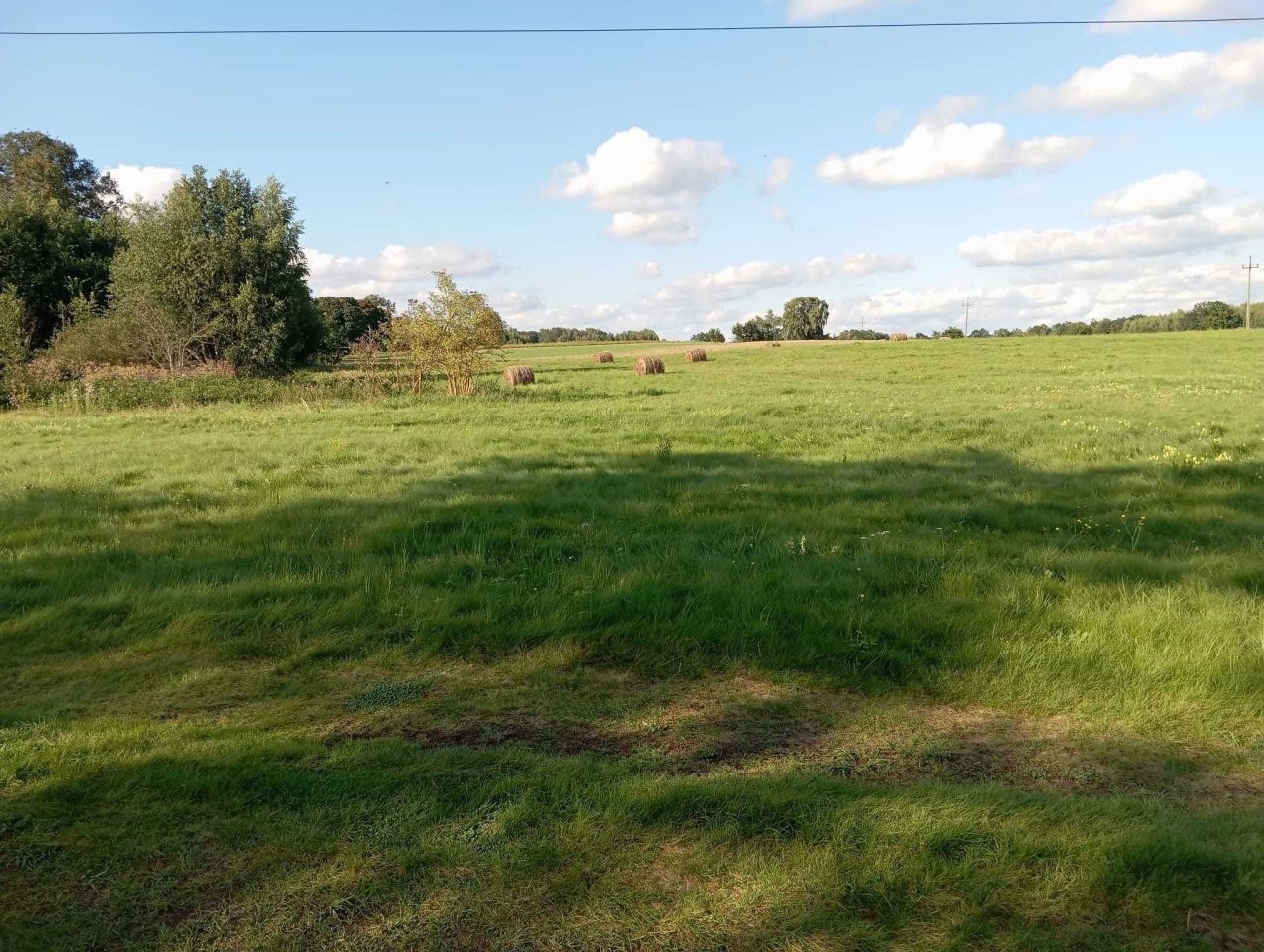 Działka rolno-budowlana Urowo. Zdjęcie 5