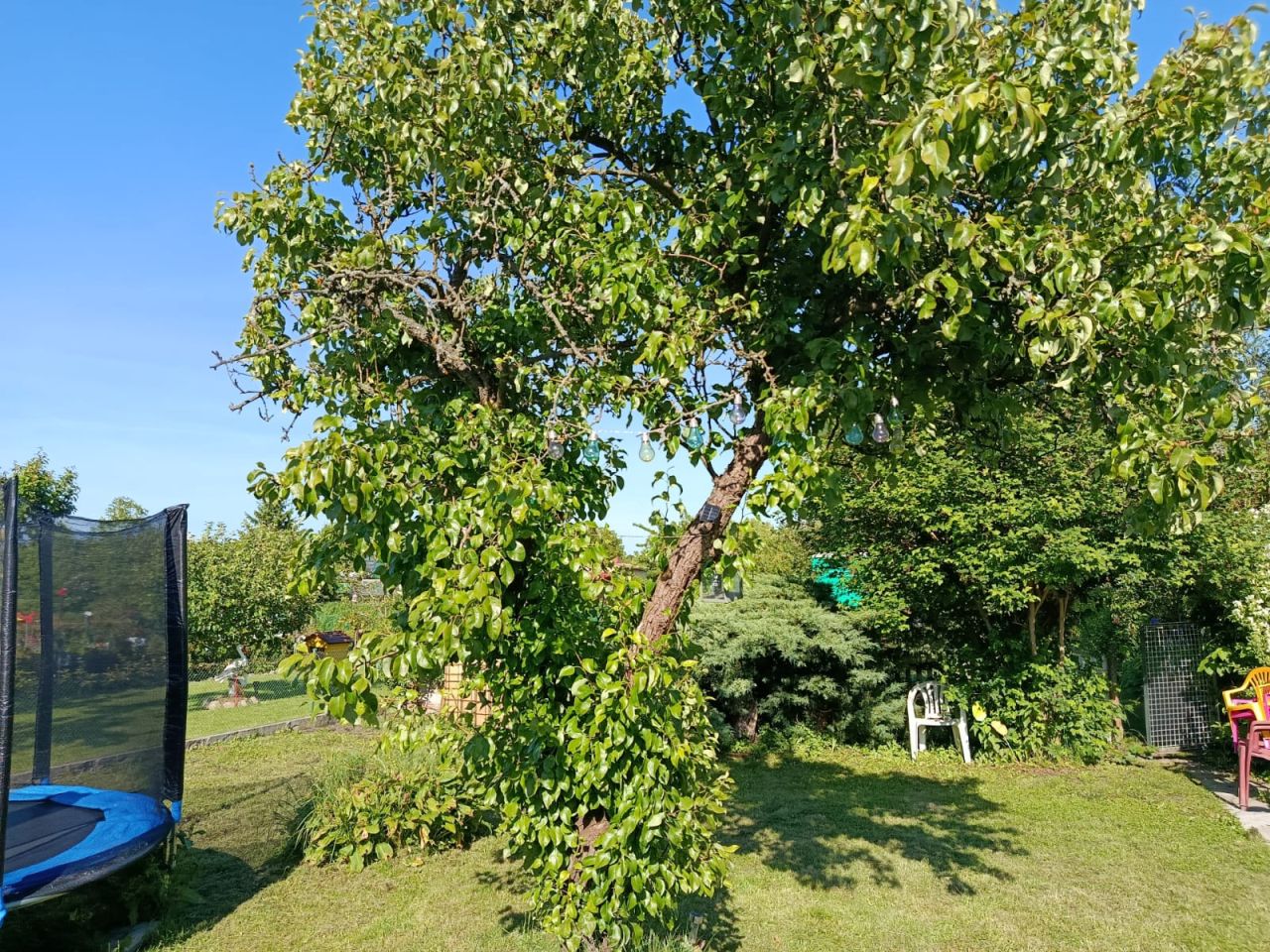 Działka rod Piła, ul. Koszalińska. Zdjęcie 5
