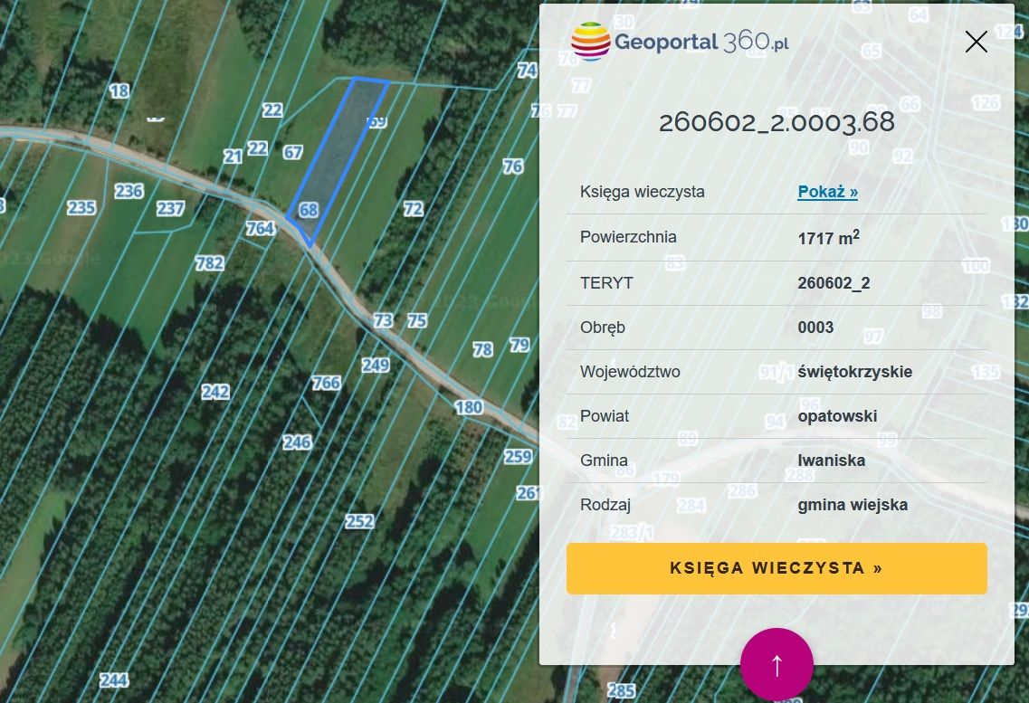 Działka rolna Dziewiątle. Zdjęcie 2