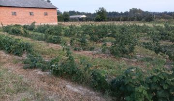 Działka siedliskowa Owczarnia