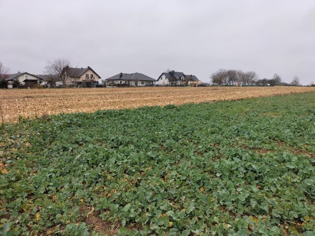 Działka budowlana Morawsko. Zdjęcie 1