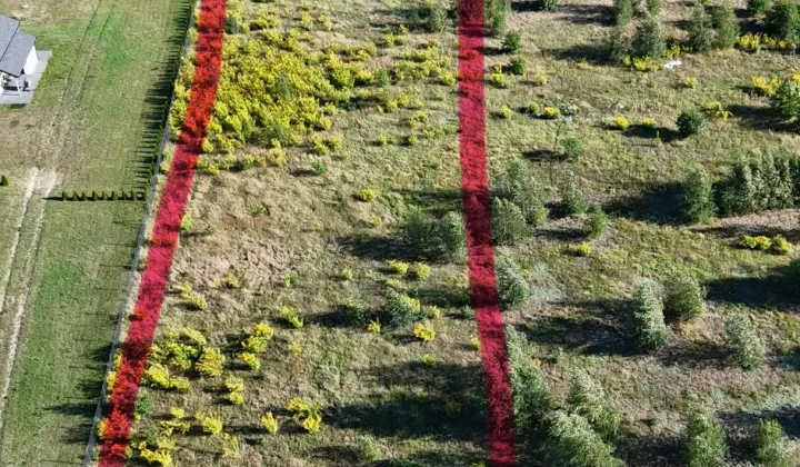 Działka budowlana Siedlisko, ul. Akacjowa