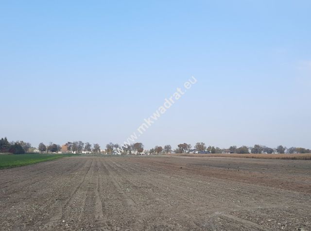 Działka inwestycyjna Płochocin, ul. Lipowa. Zdjęcie 1