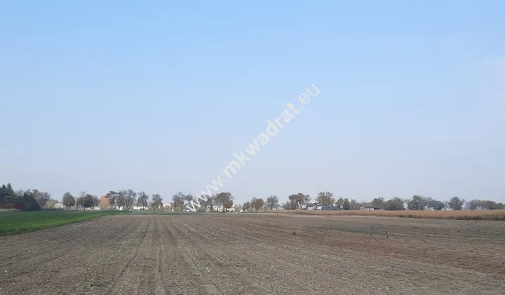 Działka inwestycyjna Płochocin, ul. Lipowa